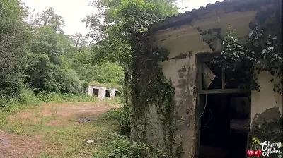 VIET69C